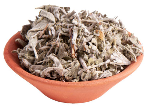 Salbeiblätter Officinalis