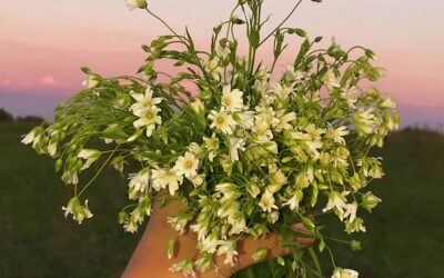 Das hermetische Gesetz von Ursache und Wirkung