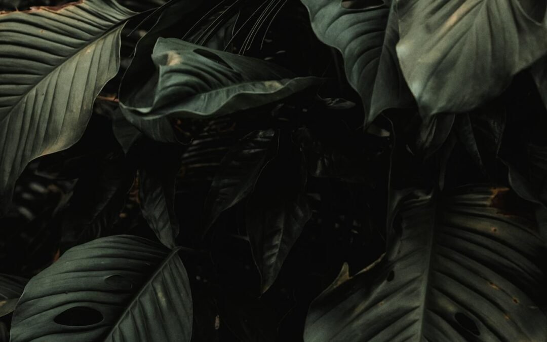 Skorpion September 2025 – Leidenschaft, Transformation und eine Liebe, die bleibt