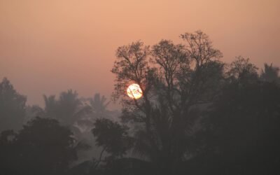 19. August – Intuition, Eingebung & klare Zeichen