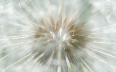 Die Stimme der Intuition verstehen – Dein innerer Kompass zurück zur Wahrheit