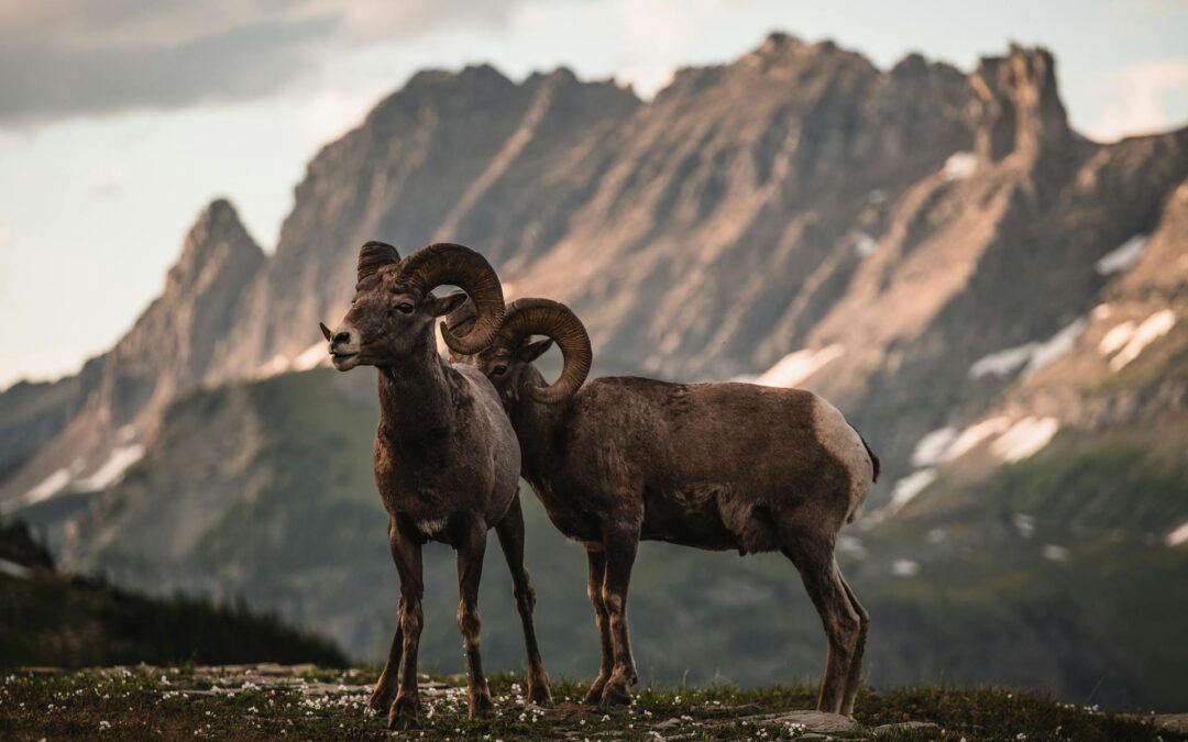 15. April: Merkur im Widder – Klartext, Mut & neue Ideen