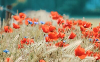 18. August – Die Angst vor Veränderung loslassen