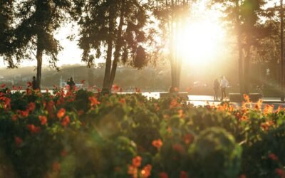 25. August Portaltag – Der Tag zwischen den Welten